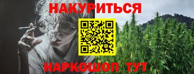 прущие крисы Гай