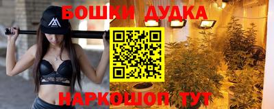 прущие крисы Гай