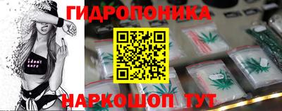 прущие крисы Гай