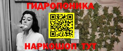 прущие крисы Гай