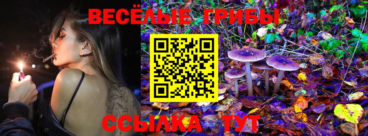 ГАШИШ Карасук