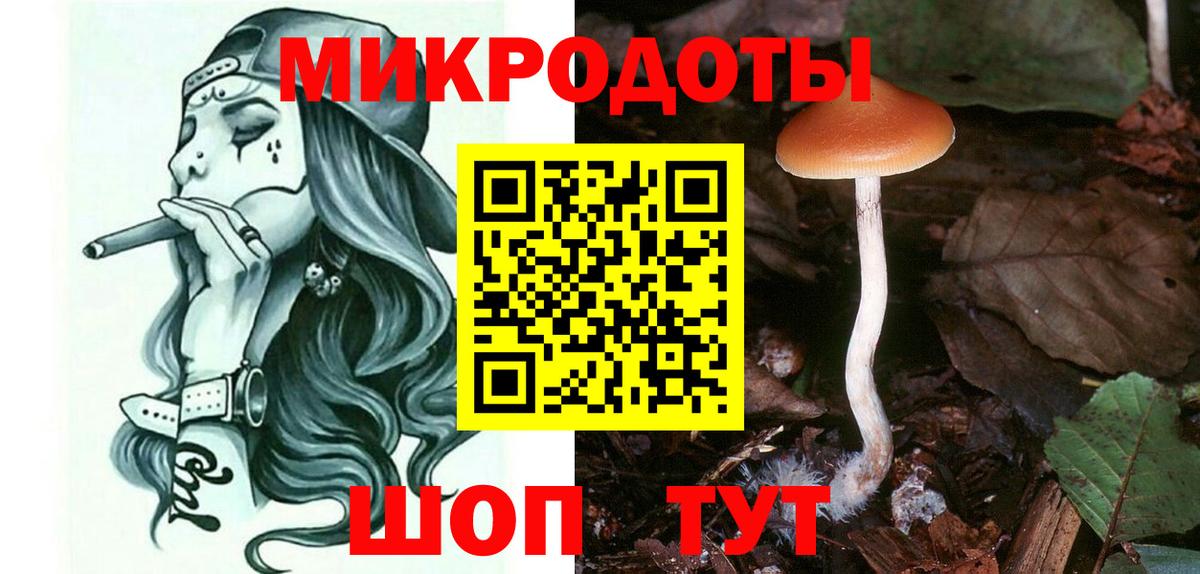 Карасук  Галлюциногенные грибы MAGIC MUSHROOMS  Вход с VPN 