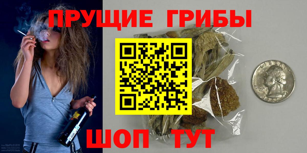Псилоцибиновые грибы прущие грибы Карасук